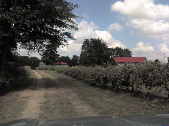 617x456 pixels (30K)