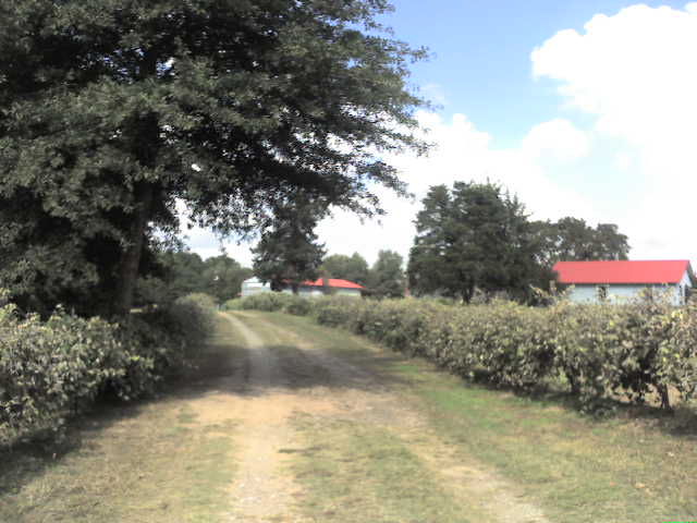 617x456 pixels (40K)