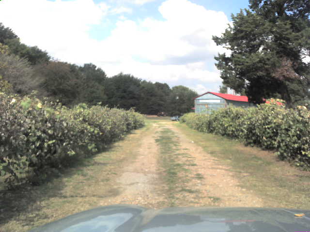 617x456 pixels (34K)