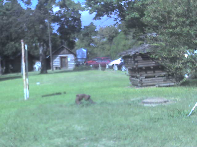 617x456 pixels (29K)