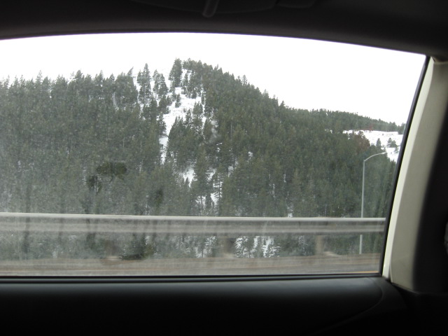 617x456 pixels (82K)