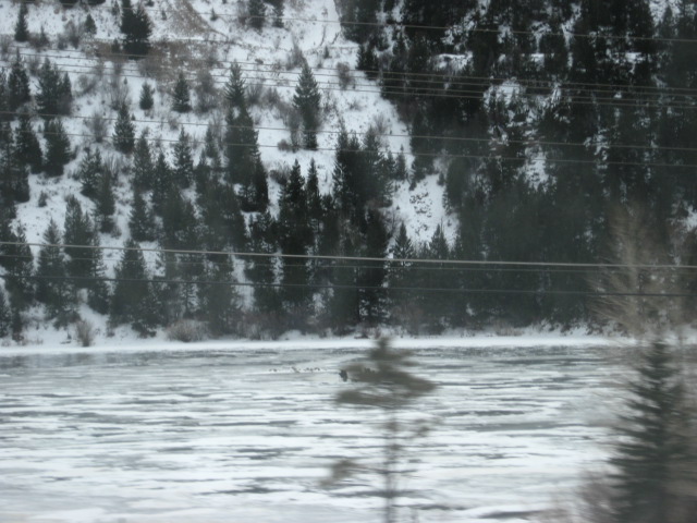 617x456 pixels (117K)