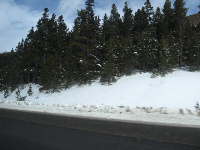 617x456 pixels (101K)