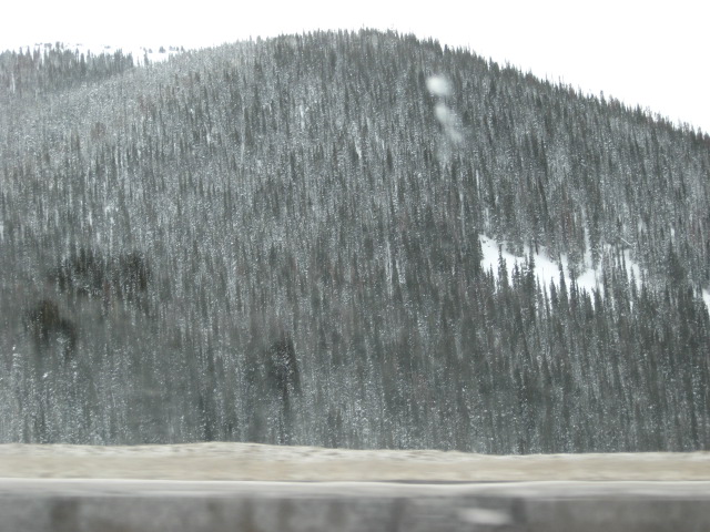 617x456 pixels (123K)