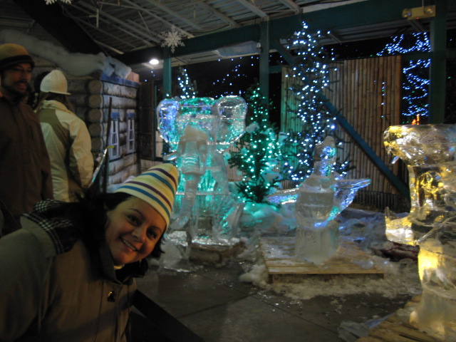 617x456 pixels (125K)