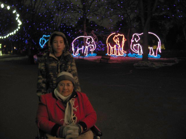 617x456 pixels (111K)