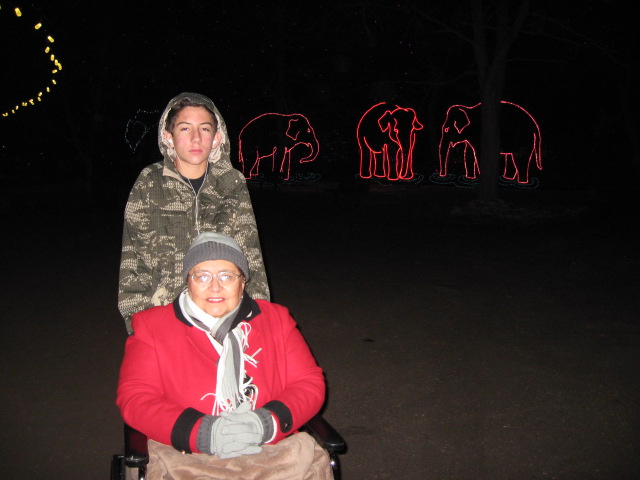 617x456 pixels (81K)