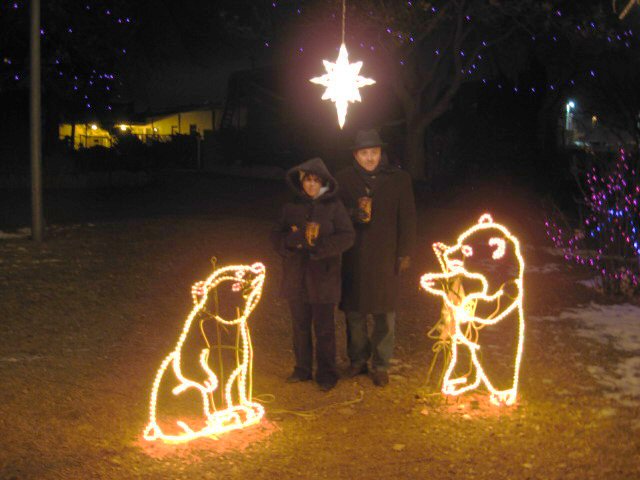 617x456 pixels (114K)