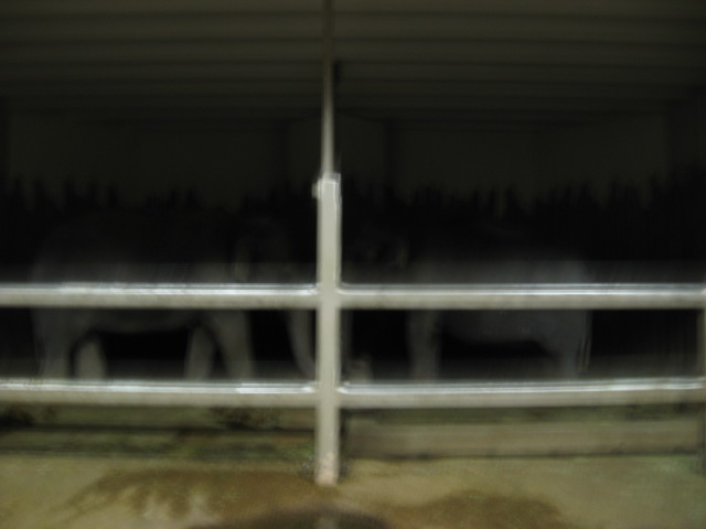 617x456 pixels (51K)