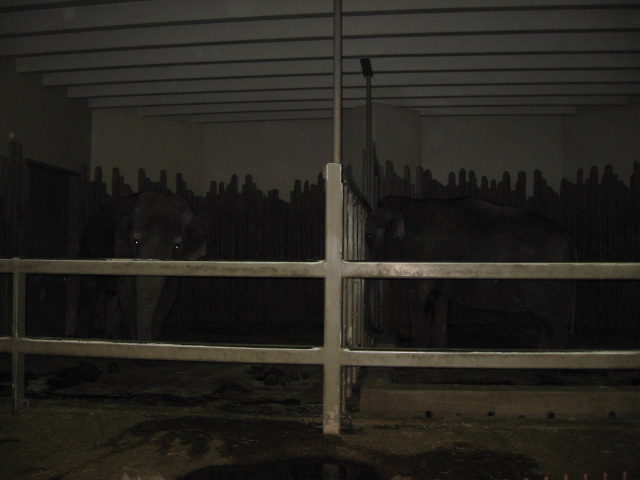 617x456 pixels (69K)