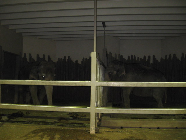 617x456 pixels (79K)