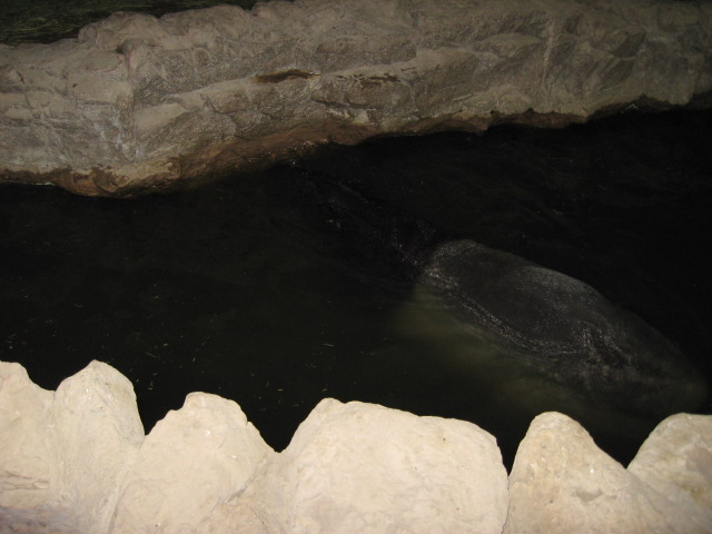 617x456 pixels (82K)