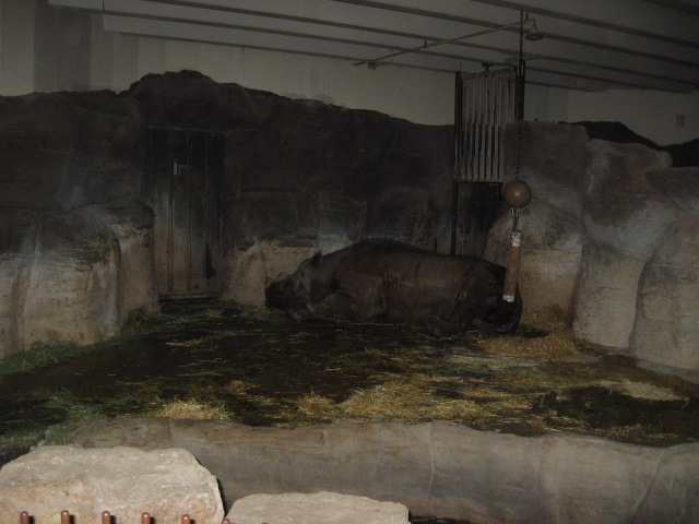 617x456 pixels (89K)