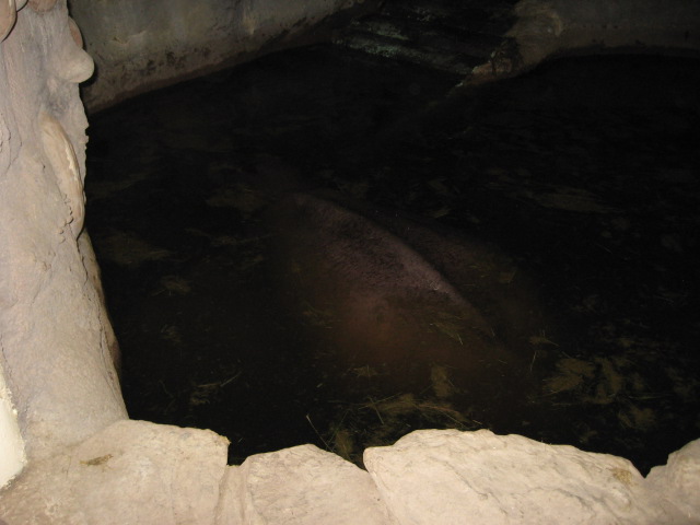 617x456 pixels (74K)