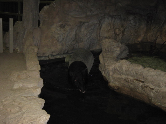 617x456 pixels (81K)