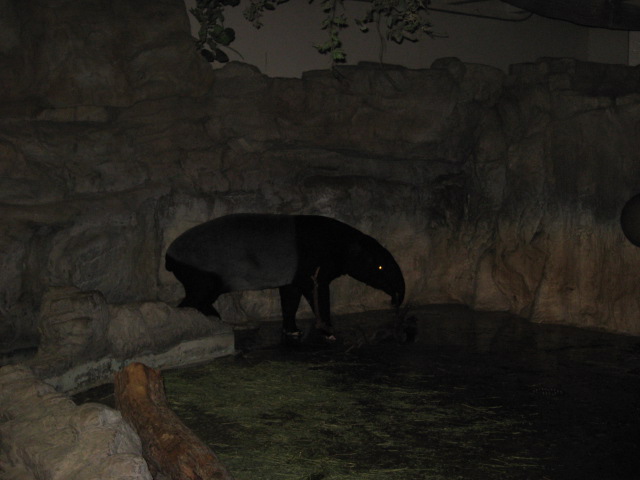 617x456 pixels (75K)