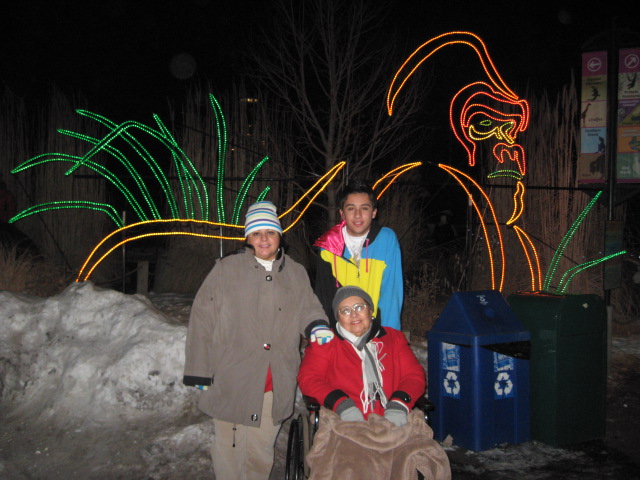 617x456 pixels (119K)