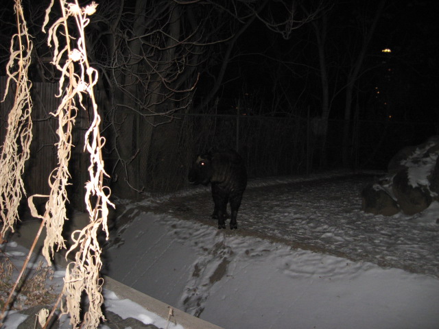 617x456 pixels (111K)