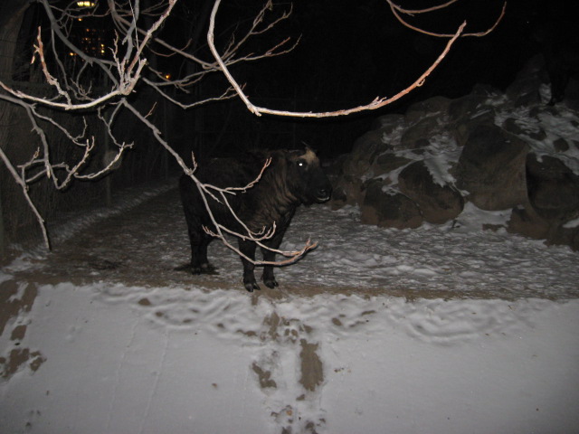 617x456 pixels (98K)