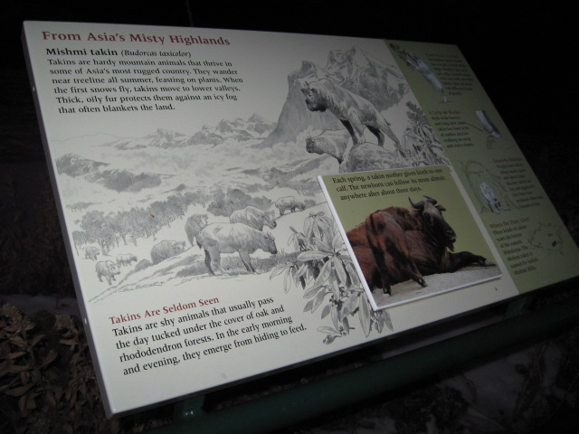 617x456 pixels (95K)