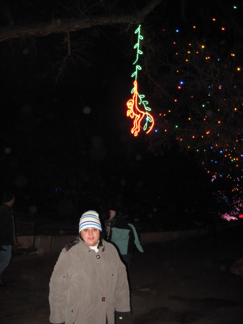 457x616 pixels (70K)