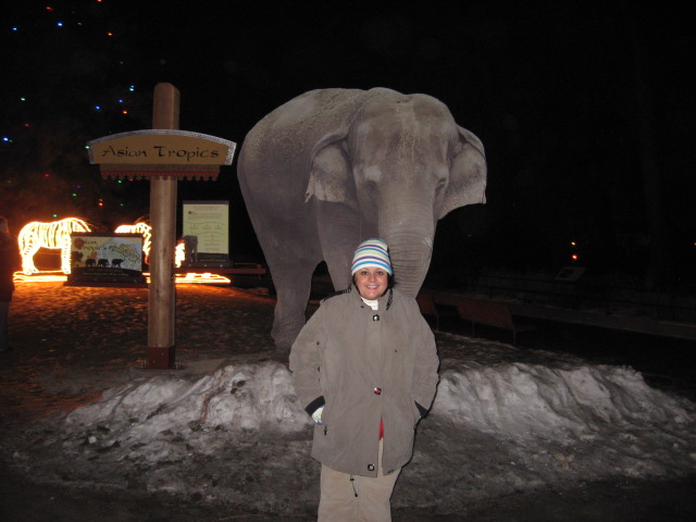 617x456 pixels (87K)