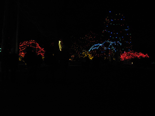 617x456 pixels (50K)