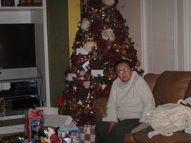 617x456 pixels (104K)