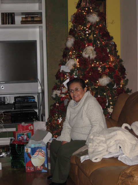 457x616 pixels (106K)