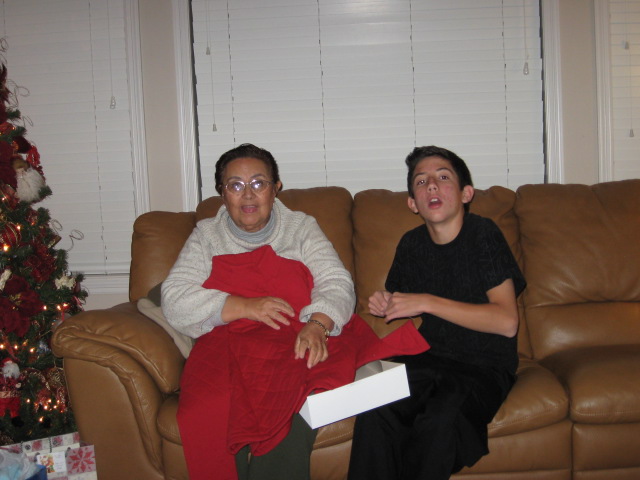 617x456 pixels (87K)