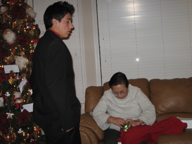 617x456 pixels (87K)