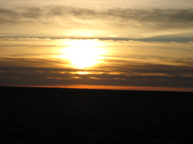 617x456 pixels (58K)