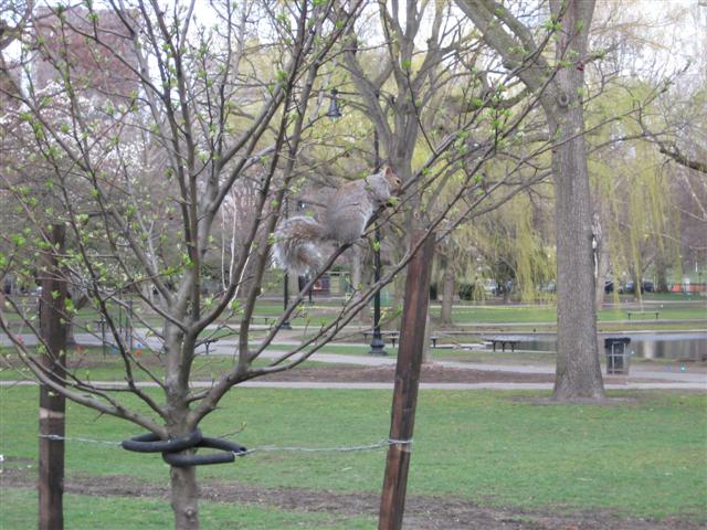 618x457 pixels (75K)