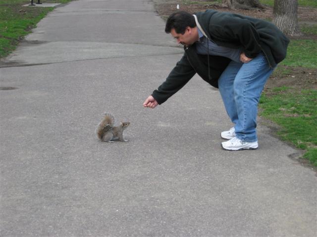 618x457 pixels (44K)