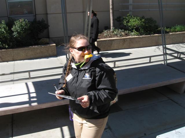 618x457 pixels (48K)