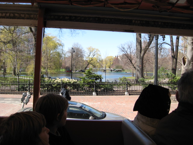 618x457 pixels (125K)