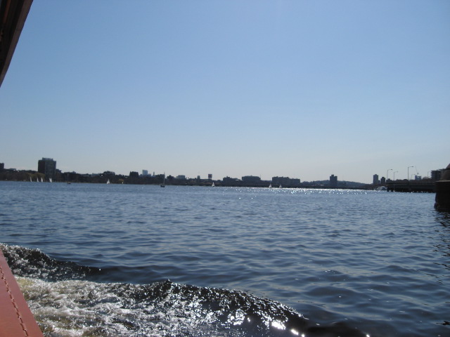 618x457 pixels (85K)