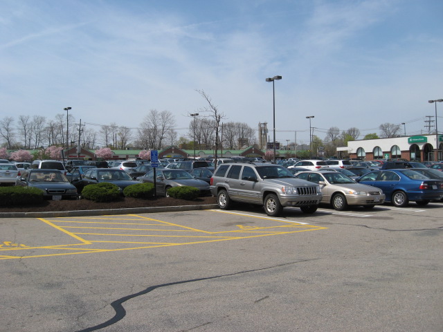 618x457 pixels (105K)