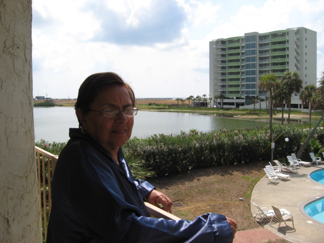 617x456 pixels (105K)