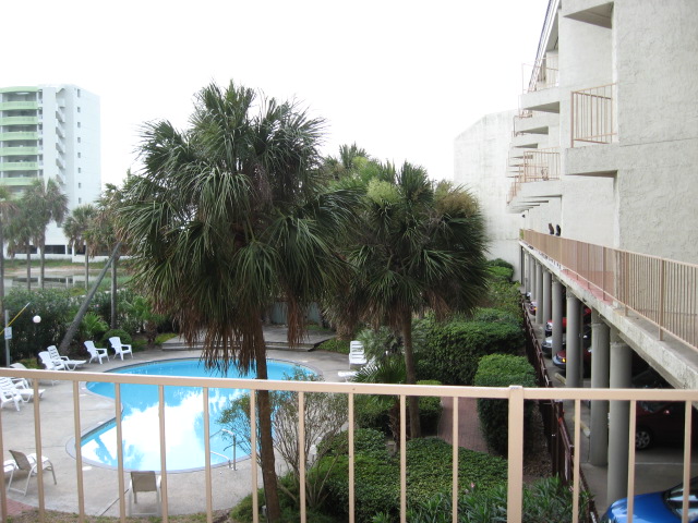 617x456 pixels (130K)