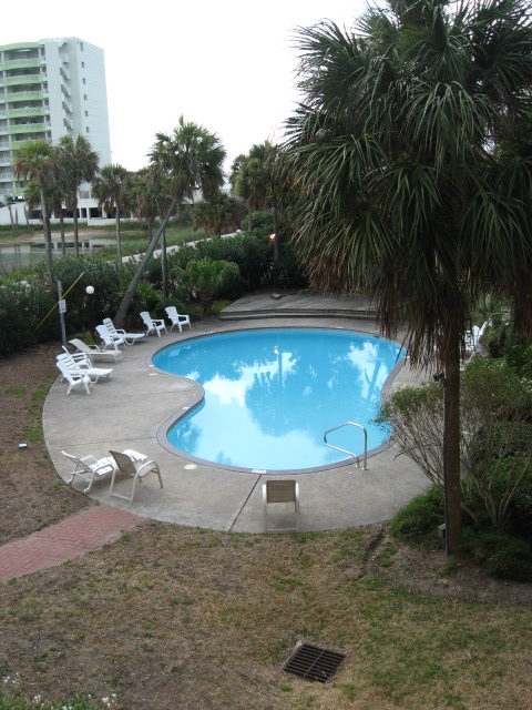 457x616 pixels (139K)