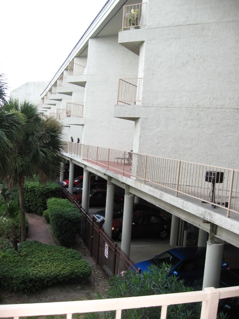 457x616 pixels (116K)