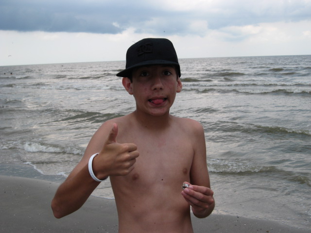 617x456 pixels (84K)