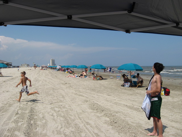 617x456 pixels (101K)