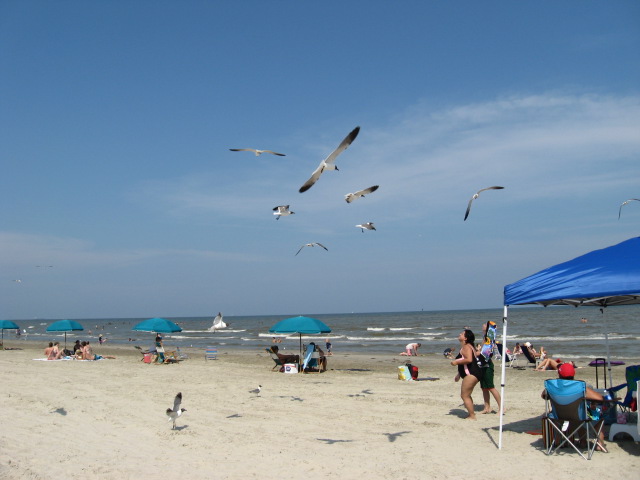 617x456 pixels (76K)