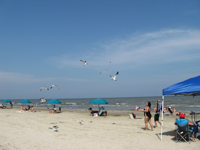 617x456 pixels (73K)