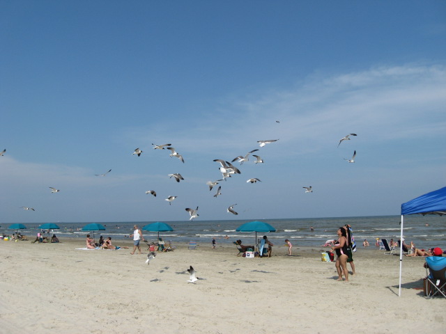 617x456 pixels (71K)