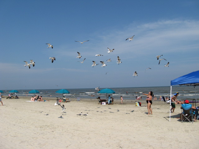 617x456 pixels (77K)