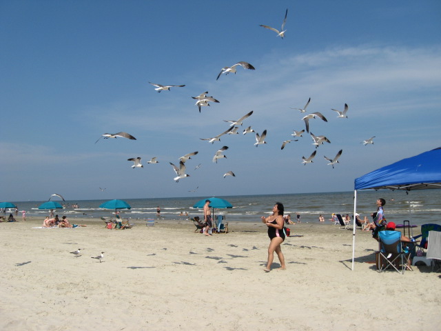 617x456 pixels (83K)