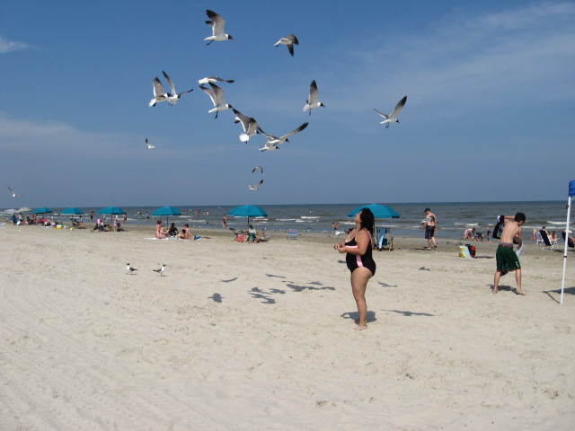 617x456 pixels (81K)